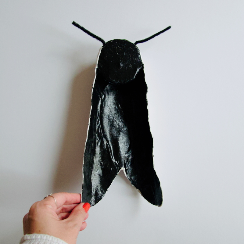 Margot the Moth - Paper Mache Leopard Moth Wall Hanging - Image 3