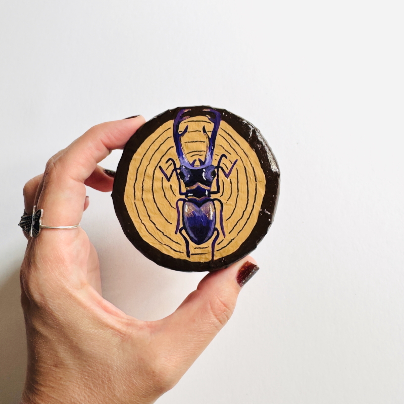 Mark - Metallic Stag Beetle Wall Puck (Copy) - Image 7